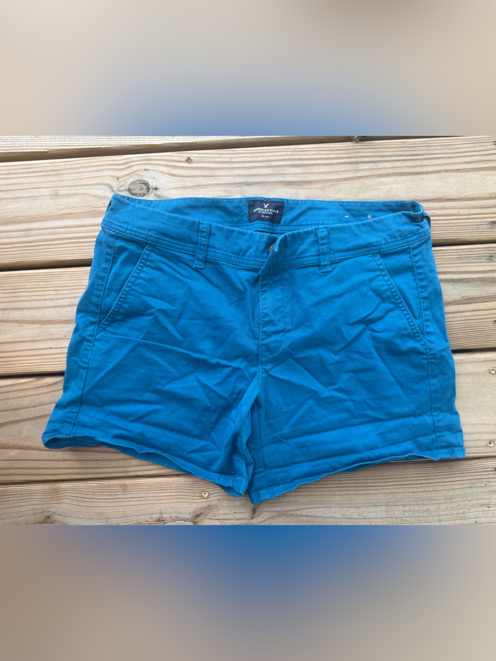 American Eagle Outfitters Teal Blue Flat Front Men's Shorts